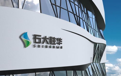 石大胜华战略布局深化 5亿资本落子眉山新材料公司